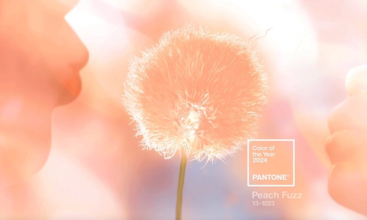 Peach Fuzz Color del Año 2024 Pantone