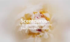 Givaudan Scentaurus™ Vanilla